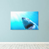 Grote witte haai | Zuid-Afrika Canvas Afdruk (Insitu (Houten vloer))