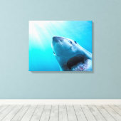 Grote witte haai | Zuid-Afrika Canvas Afdruk (Insitu (Houten vloer))