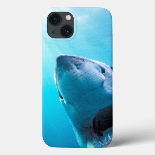Grote witte haai | Zuid-Afrika Case-Mate iPhone Case (Achterkant)