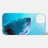 Grote witte haai | Zuid-Afrika Case-Mate iPhone Case (Achterkant (horizontaal))