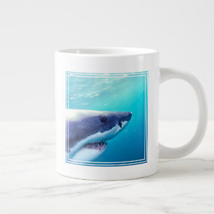 Grote witte haai   Zuid-Afrika Grote Koffiekop