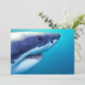Grote witte haai | Zuid-Afrika Kaart (Staand voorkant)