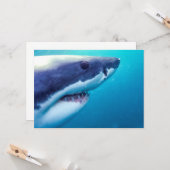 Grote witte haai | Zuid-Afrika Kaart (Voorkant / Achterkant in situ)