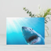 Grote witte haai | Zuid-Afrika Kaart (Staand voorkant)