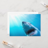 Grote witte haai | Zuid-Afrika Kaart (Voorkant / Achterkant in situ)