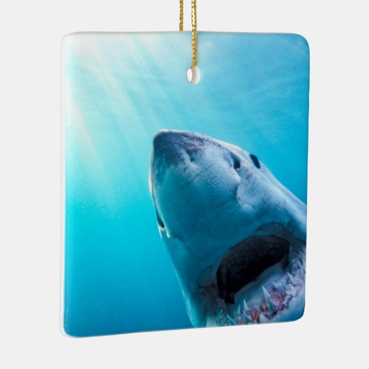 Grote witte haai | Zuid-Afrika Keramisch Ornament (Rechts)
