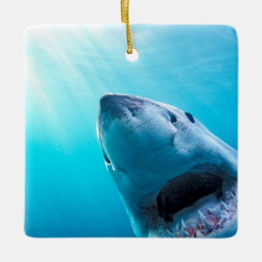 Grote witte haai | Zuid-Afrika Keramisch Ornament (Voorkant)
