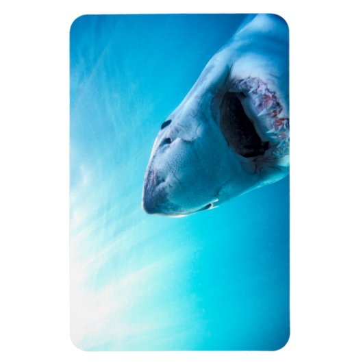 Grote witte haai | Zuid-Afrika Magneet (Verticaal)
