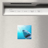 Grote witte haai | Zuid-Afrika Magneet (Insitu (Vaatwasser))