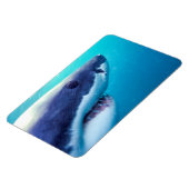 Grote witte haai | Zuid-Afrika Magneet (Linkerzijde)