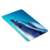 Grote witte haai | Zuid-Afrika Magneet (Rechterzijde)