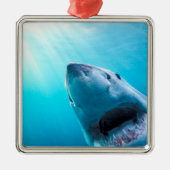 Grote witte haai | Zuid-Afrika Metalen Ornament (Voorkant)