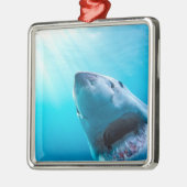 Grote witte haai | Zuid-Afrika Metalen Ornament (Links)