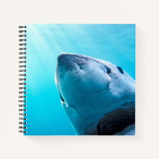 Grote witte haai | Zuid-Afrika Notitieboek (Voorkant)