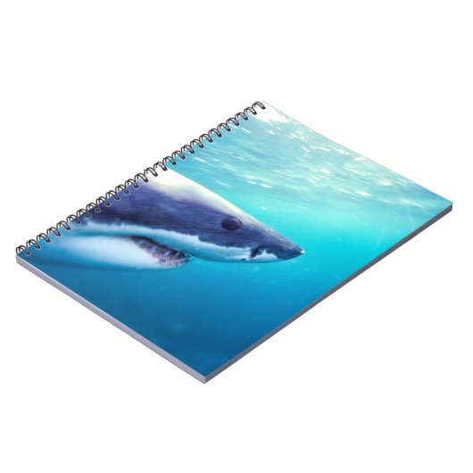 Grote witte haai | Zuid-Afrika Notitieboek (Linkerzijde)