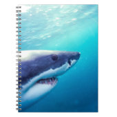 Grote witte haai | Zuid-Afrika Notitieboek (Voorkant)