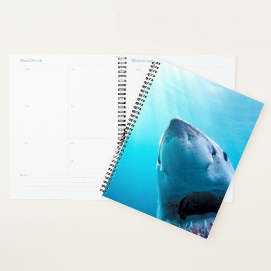 Grote witte haai | Zuid-Afrika Planner (Display)