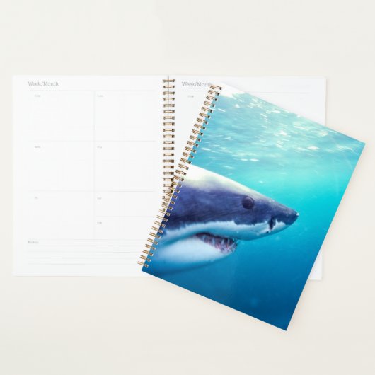 Grote witte haai | Zuid-Afrika Planner (Display)
