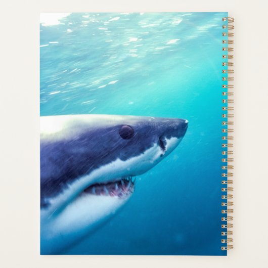 Grote witte haai | Zuid-Afrika Planner (Achterkant)
