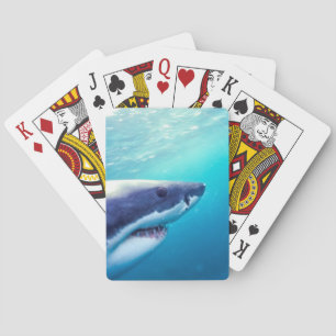 Grote witte haai Zuid-Afrika Pokerkaarten