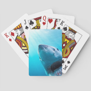 Grote witte haai Zuid-Afrika Pokerkaarten