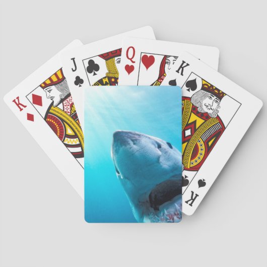 Grote witte haai | Zuid-Afrika Pokerkaarten (Achterkant)