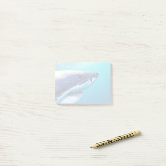 Grote witte haai | Zuid-Afrika Post-it® Notes (Op bureau)