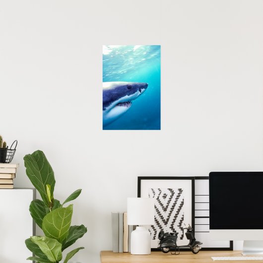 Grote witte haai | Zuid-Afrika Poster (Thuiskantoor)