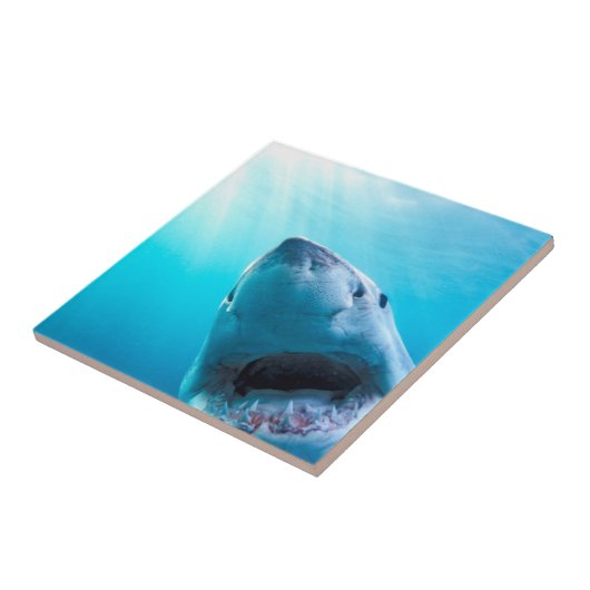 Grote witte haai | Zuid-Afrika Tegeltje (Zijkant)