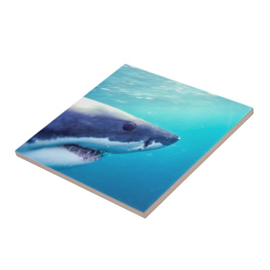 Grote witte haai | Zuid-Afrika Tegeltje (Zijkant)