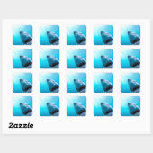 Grote witte haai | Zuid-Afrika Vierkante Sticker (Vel)
