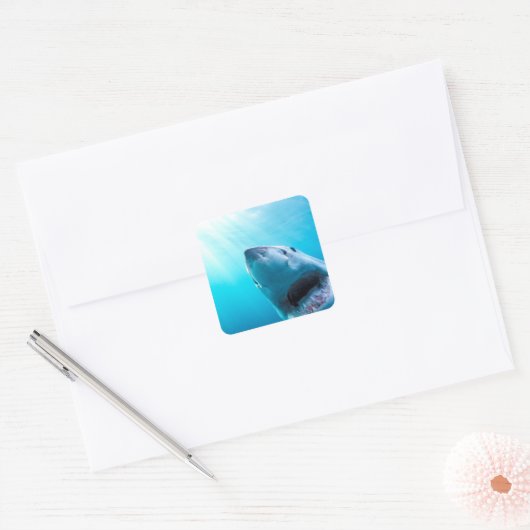 Grote witte haai | Zuid-Afrika Vierkante Sticker (Envelop)