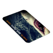 Grote witte haaienkaken magneet (Rechterzijde)