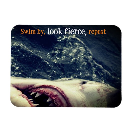 Grote witte haaienkaken magneet (Horizontaal)