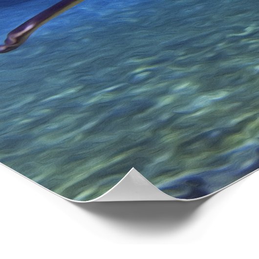 Grote witte haaienteller poster (Hoek)