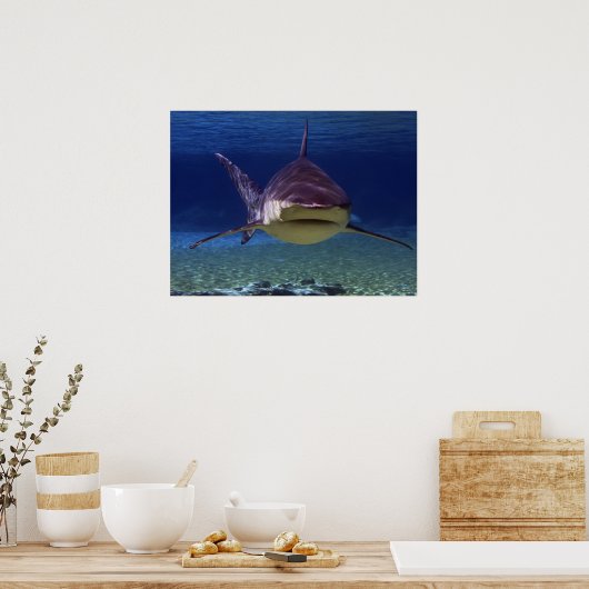 Grote witte haaienteller poster (Keuken)