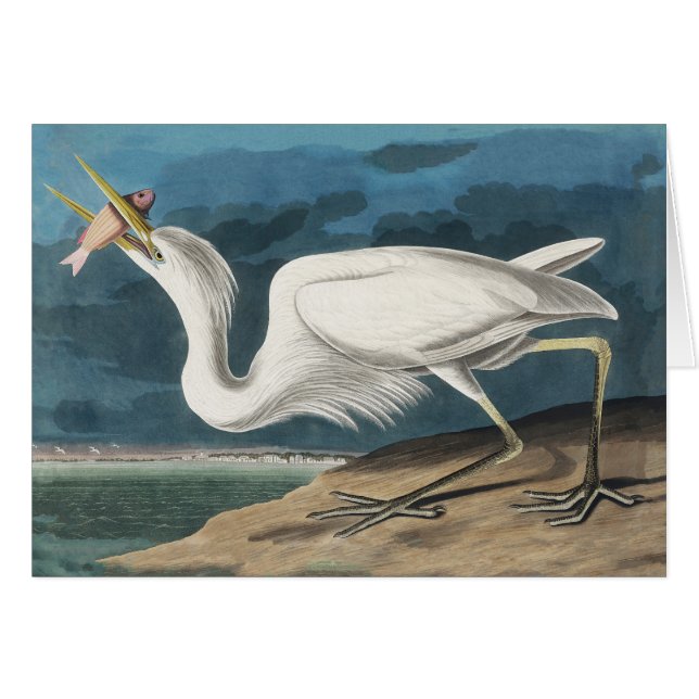 Grote Witte Heron Audubon Vogel Wildlife Painting (Voorkant Horizontaal)