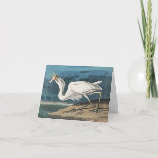Grote Witte Heron Audubon Vogel Wildlife Painting Bedankkaart (Voorkant)