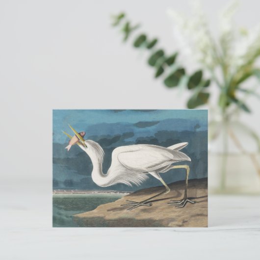 Grote Witte Heron Audubon Vogel Wildlife Painting Briefkaart (Staand voorkant)