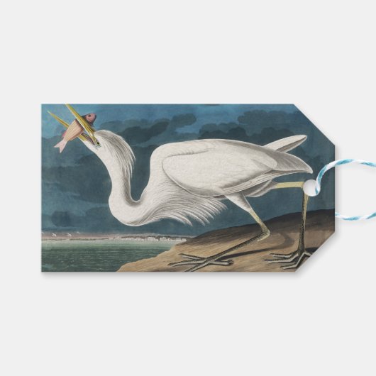 Grote Witte Heron Audubon Vogel Wildlife Painting Cadeaulabel (Voorkant (Horizontaal))