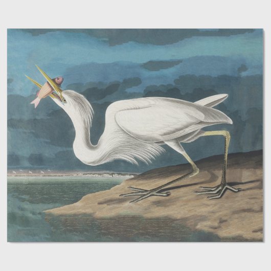 Grote Witte Heron Audubon Vogel Wildlife Painting Cadeaupapier (Vlak)
