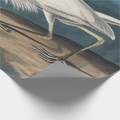 Grote Witte Heron Audubon Vogel Wildlife Painting Cadeaupapier (Hoek)