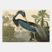 Grote Witte Heron Audubon Vogel Wildlife Painting Inpakpapier Vel (Voorkant 3)