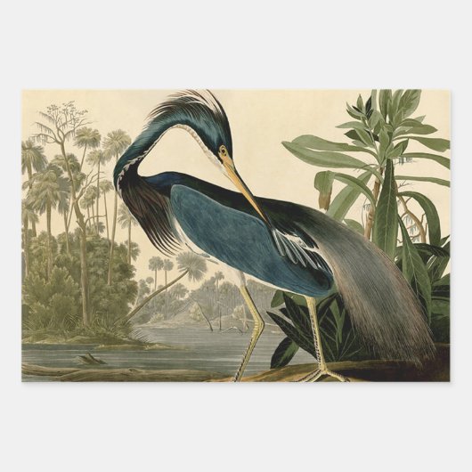 Grote Witte Heron Audubon Vogel Wildlife Painting Inpakpapier Vel (Voorkant 3)