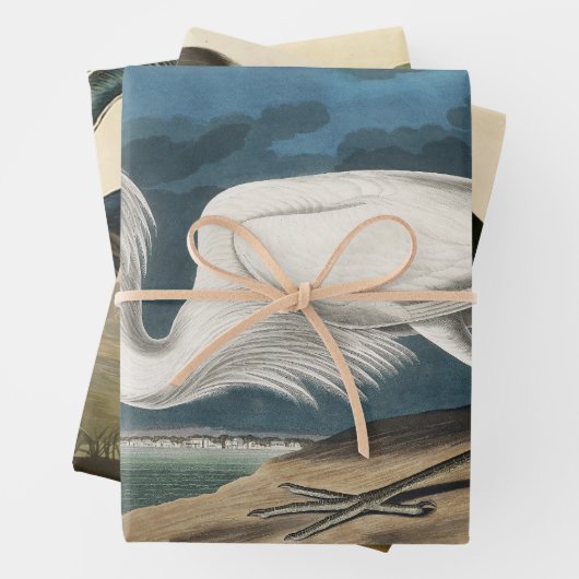 Grote Witte Heron Audubon Vogel Wildlife Painting Inpakpapier Vel (In situ)