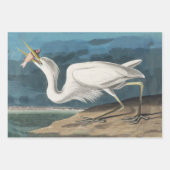 Grote Witte Heron Audubon Vogel Wildlife Painting Inpakpapier Vel (Voorkant)