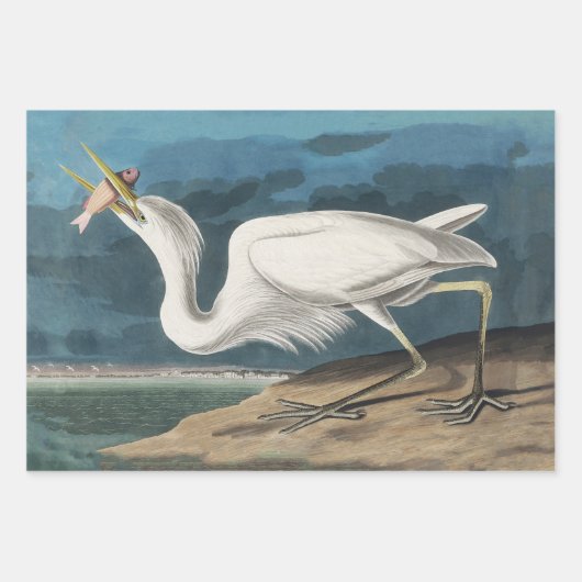 Grote Witte Heron Audubon Vogel Wildlife Painting Inpakpapier Vel (Voorkant)