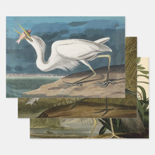 Grote Witte Heron Audubon Vogel Wildlife Painting Inpakpapier Vel (Set)