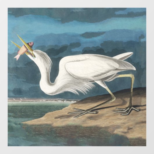Grote Witte Heron Audubon Vogel Wildlife Painting Raamsticker (Vel)