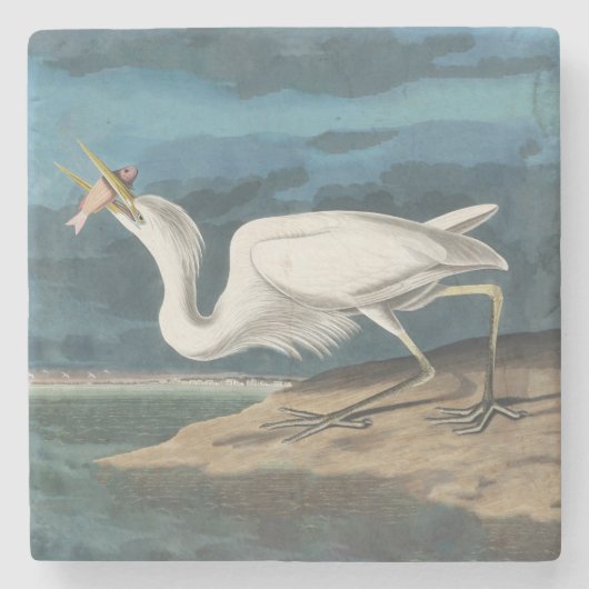 Grote Witte Heron Audubon Vogel Wildlife Painting Stenen Onderzetter (Voorkant)